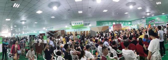 兔寶寶環保行7月29日蘇州站 綠色裝飾，感恩回饋